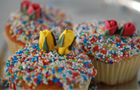 birthday